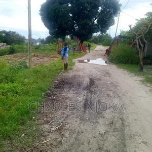 Nyumba Vyumba 8 Bomba Mbili Roma, Ilala - 3