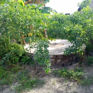 Furnished 6-Bedroom House for Sale in Bwela, Ilala - 2