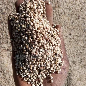 Mtama Mweupe (White Sorghum) - 2