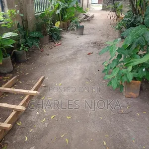 Nyumba ya Vyumba 10 Rada Chuo, Ilala Inauzwa - 6