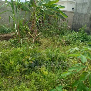 Furnished 2-Bedroom House for Sale in Rada Chuo, Ilala - 3