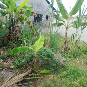 Furnished 2-Bedroom House for Sale in Rada Chuo, Ilala - 4