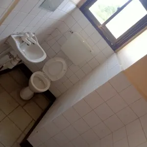 Mini Flat for Rent in Sinza B