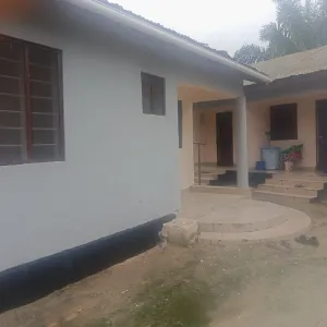2bdrm Bungalow in Sinza Mawasliano for Rent - Sinza - by Selebobo Agent s.