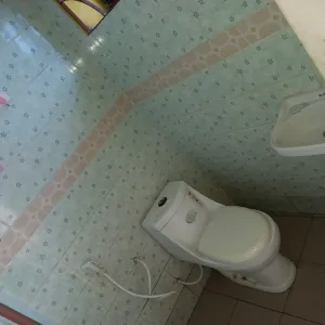1bdrm House in Sinza Palestina for Rent