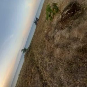 Beach Plot for Sale at Bagamoyo Mjini