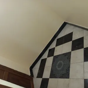 Studio Apartment for Rent in Sinza Mori