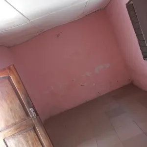 1bdrm House in Sinza Palestina for Rent