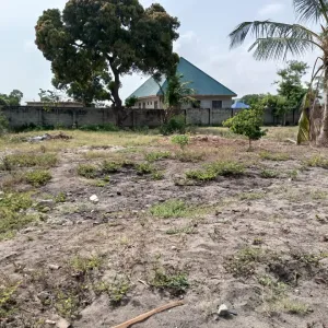 Plot at Boko