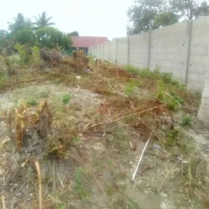 Land for Sale - 2.8 Million TZS - Ukonga