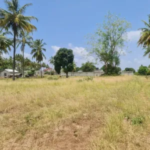 Plot Heka Moja at Kigamboni Kidete - Kigamboni - by Selebobo Agent s.