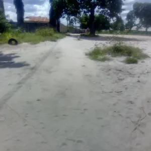 Plots for Sale - Surveyed by Ministry of Lands