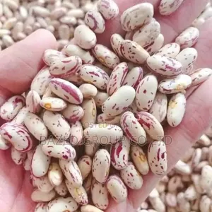 Sugar Beans