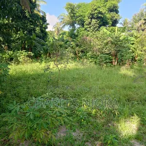 2 Acre Commercial Land for Sale in Majohe Kichangani