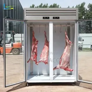 Commercial Stainless Steel Meat Display Refrigerator with Glass Doors