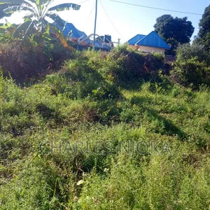 Kiwanja cha Sqm 300 kwa Matumizi ya Makazi Chuorada, Ilala